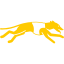 Greyhound Racing