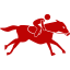 Horse Racing